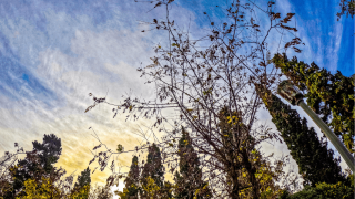 Καιρός - Τσατραφύλλιας: Αφρικανική ζέστη θα εκτοξεύσει τον υδράργυρο 10°C πάνω από τα φυσιολογικά για την εποχή επίπεδα