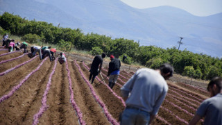 Υπουργείο Εργασίας: Τι προβλέπει η τροπολογία περί παραμονής και εργασίας μεταναστών - 17 ερωτήσεις και απαντήσεις