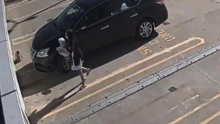 Σοκαριστικό βίντεο στην Αυστραλία: 26χρονη πετάει το σκυλάκι της στο κενό - «Της έκανα χάρη, όλο την κακοποιούσα»