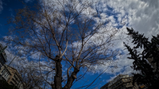 Μετά το ψύχος... καλοκαίρι: Ο Ωμέγα Εμποδιστής φέρνει Αλκυονίδες διαρκείας