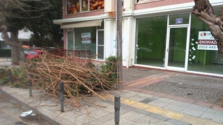 Καλαμαριά: Κίνδυνος για τους διερχόμενους τα πεταμένα κλαριά