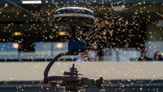 Απίστευτο: Σμήνος μελισσών διέκοψε… αγώνα τένις στο Indian Wells