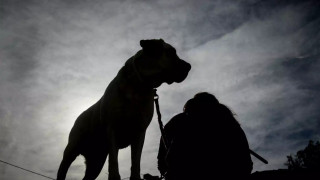 Ηράκλειο: Ιερέας ζητά απ’ τον κόσμο να πυροβολεί τα αδέσποτα ζώα και τους φιλόζωους