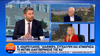 Ανδρουλάκης: «Συναντήθηκα με τον κ. Μαρινάκο κι όχι τον Μαρινάκη»