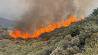Πολιτική Προστασία: 71 πυρκαγιές σε 12 ώρες-Ποιες περιοχές επλήγησαν