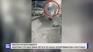 Κτηνωδία! Ηλικιωμένη πέταξε τέσσερα κουτάβια στα σκουπίδια! (vid)