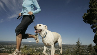 Θεσσαλονίκη: Τρέξτε με το σκύλο σας σε αγώνα δρόμου για αδέσποτα