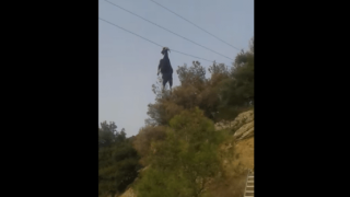Kατσίκα κρέμεται από τα καλώδια της ΔΕΗ στο Συκούριο Λάρισας (VIDEO)