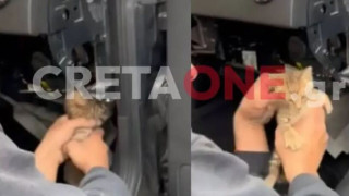 Κρήτη: Γατάκι «τρύπωσε» σε αεραγωγό καλοριφέρ ΙΧ (vid)