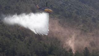 Βοιωτία: Μεγάλη κινητοποίηση μετά από ισχυρή πυρκαγιά στο Ακραίφνιο