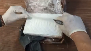 Πειραιάς: Το κοντέινερ με καλαμαράκια έκρυβε... 100 κιλά κοκαΐνης!