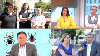 Θεσσαλονίκη: Καταγγελίες για... ψύλλους στον Εύοσμο