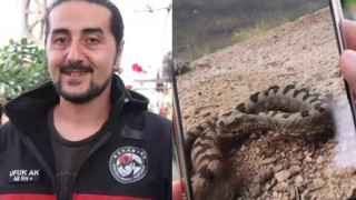 Τουρκία: Εθεάθη το πιο δηλητηριώδες φίδι στον κόσμο