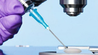 Θεσ/νίκη: Έπαιρναν ωάρια από αλλοδαπές & τα πουλούσαν μαζί με φάρμακα!