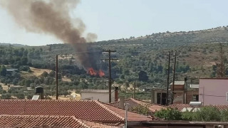 Εύβοια: Φωτιά σε δασική έκταση στο Κοντοδεσπότι-Συναγερμός στην Πυροσβεστική