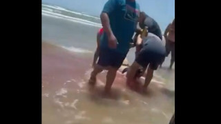 Ο απόλυτος τρόμος στο Τέξας: Καρχαρίας επιτέθηκε σε τέσσερις ανθρώπους! (vid)