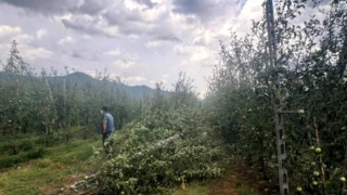 Ισχυρή χαλαζόπτωση έπληξε την Πέλλα
