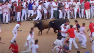 Ισπανία: Αφηνιασμένοι ταύροι προκάλεσαν πανικό-Έξι τραυματίες (vid)