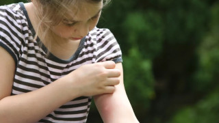 Ιός Δυτικού Νείλου: Ποια ελληνική πόλη βρίσκεται στο επιδημιολογικό επίκεντρο