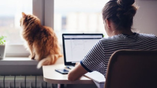 Δημόσιο: Μέτρα προστασίας λόγω του καύσωνα-Τι ισχύει με την τηλεργασία