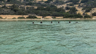 «Καμπανάκι« για την αποστολή της Ζ ΜΑΚ στην Πολωνία