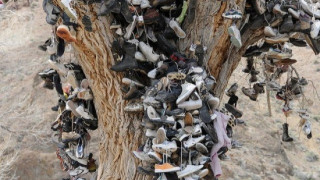 Το δέντρο με τα παπούτσια ή αλλιώς ο πιο μοναχικός δρόμος της Αμερικής