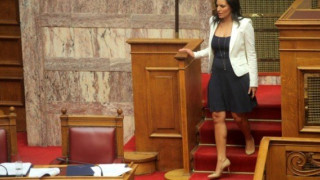 Αυτά είναι  τα  Πόθεν  Έσχες των ωραίων της Βουλής!