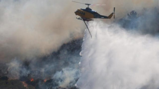 Εύβοια: Η φωτιά ξεκίνησε από ένα... γεράκι!