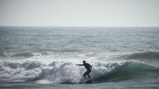 Αυστραλία: Πόδι σέρφερ ξεβράστηκε στην παραλία!