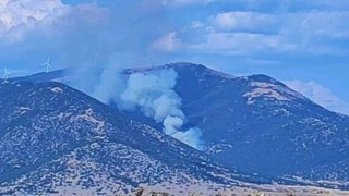 Δράμα: Φωτιά σε δασική έκταση στο Παρανέστι-Κινητοποίηση εναέριων μέσων