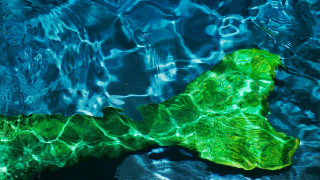 Σε ποια πόλη θα βρείτε τη σχολή για... γοργόνες