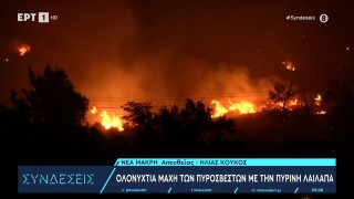 Πυρκαγιές στη ΒΑ Αττική: Μάχη με τις αναζωπυρώσεις-Ήχησε 112 στη Ν. Μάκρη