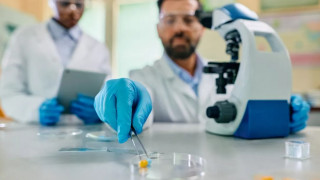 Ήπαρ: Πειραματικό φάρμακο το «καθαρίζει» από λίπη και ρυθμίζει χοληστερόλη και τριγλυκερίδια