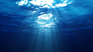 Ιταλία: Σημαντική ανακάλυψη δυτών- Βρήκαν άγαλμα 3.000 ετών