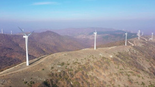 «ΌΧΙ ΑΠΕ σε Δάση και Περιοχές Natura»: Πρωτοβουλία Ρόκου για συλλογή υπογραφών