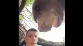 Influencer μπήκε σε φωλιά αρκούδας: Πώς τον... υποδέχτηκε