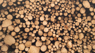 Καυσόξυλα: Στα περσινά επίπεδα οι τιμές