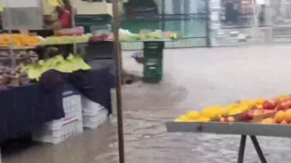 Χαλκιδική: Η βροχή «πλημμύρισε» Κασσάνδρα και Σιθωνία