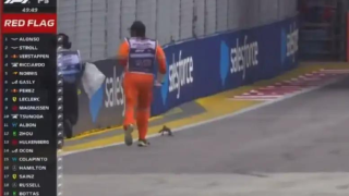 Διακοπή στο Grand Prix Σιγκαπούρης εξαιτίας μιας... σαύρας!