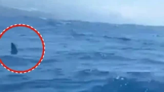 Ισπανία: Στιγμές τρόμου για ψαρά που τον περικύκλωσε καρχαρίας