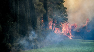 Ανεξέλεγκτη φωτιά τώρα στην Ηλεία κοντά σε οικισμούς