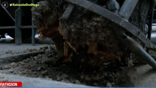 Πατησίων: Το δέντρο έπεσε στο φορτηγό ή το φορτηγό στο δέντρο;