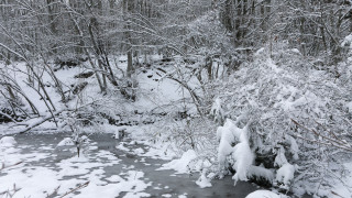 Στα «λευκά» Ελασσόνα, Προφήτης Ηλίας και Φλώρινα