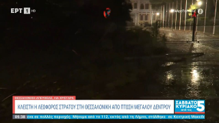 Κακοκαιρία Bora-Θεσσαλονίκη: Ξεριζώθηκαν δέντρα σε Κάτω Τούμπα και Λεωφόρο Στρατού