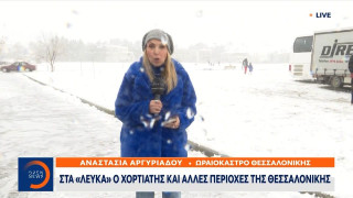 Πιτσιρικάδες την «έπεσαν» με χιονόμπαλες στη ρεπόρτερ του Open που κάλυπτε live την κακοκαιρία