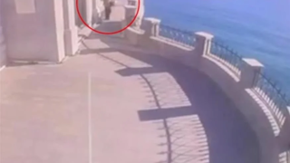 Πέταξε γάτα από μπαλκόνι γιατί δεν ήθελε... χάδια!