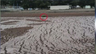 Βέροια-Καταγγελία: Λύματα καταλήγουν στον Αλιάκμονα από τον βιολογικό καθαρισμό