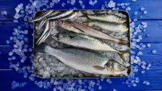 Τα δύο ψάρια που κάνουν «θαύματα» σε καρδιά, εγκέφαλο και ανοσοποιητικό