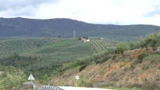 Χαλκιδική: Κατασκευή αιολικού πάρκου στην Ορμύλια-Έντονες αντιδράσεις