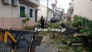 Πάτρα: Δέντρο έπεσε στη στέγη του σπιτιού μιας οικογένειας! (ΒΙΝΤΕΟ)